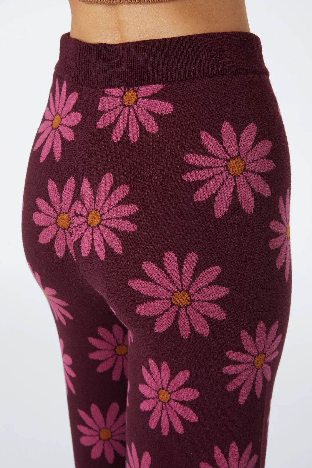 Daisy Knit Pant