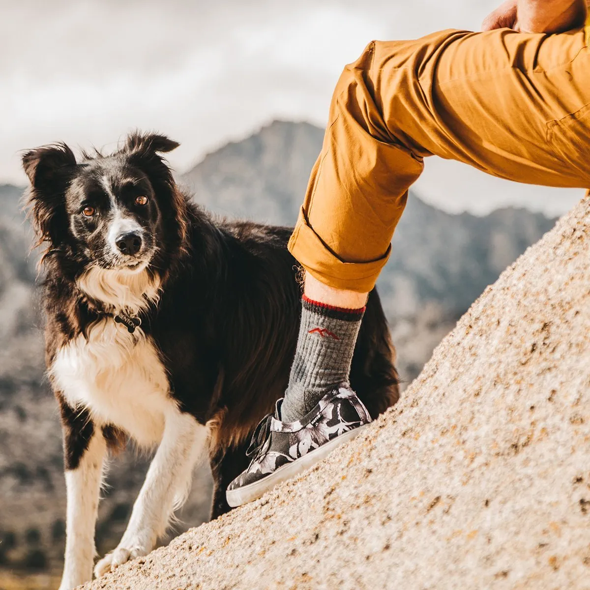 Hiker Boot Midweight | Full Cushion | Men's