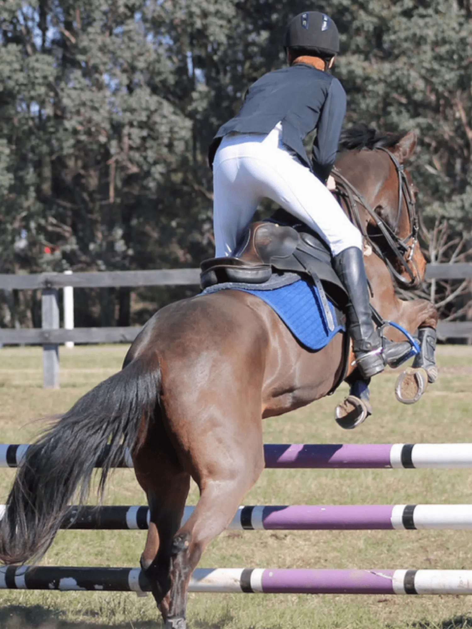 Junior Men's Breeches