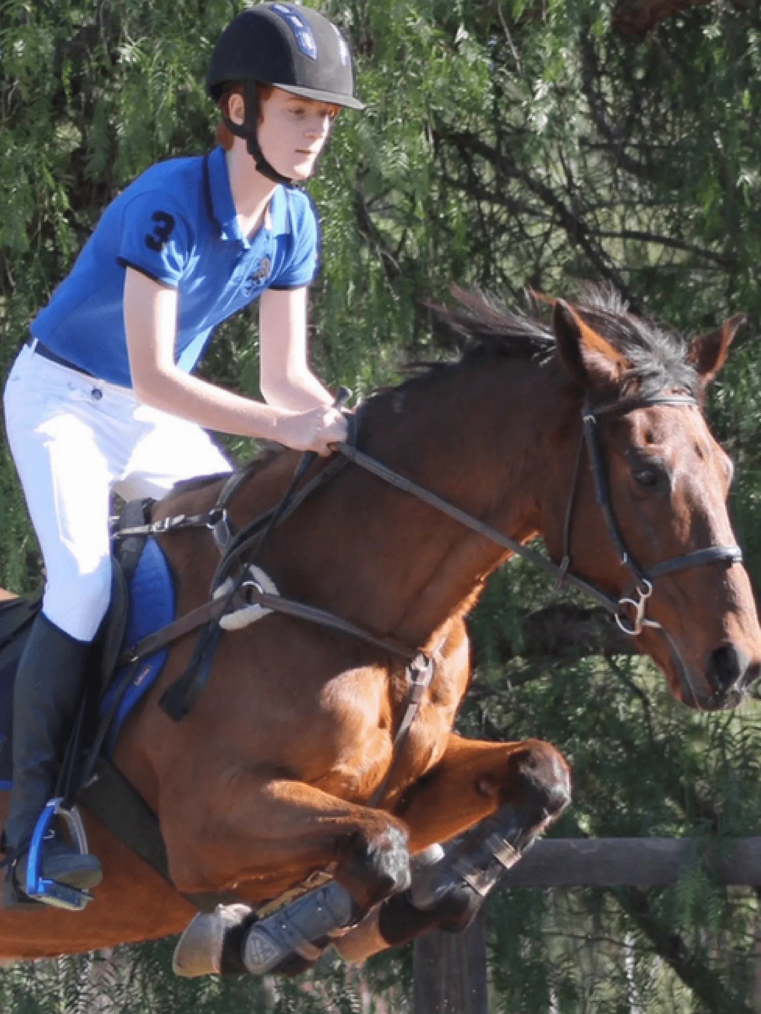 Junior Men's Breeches