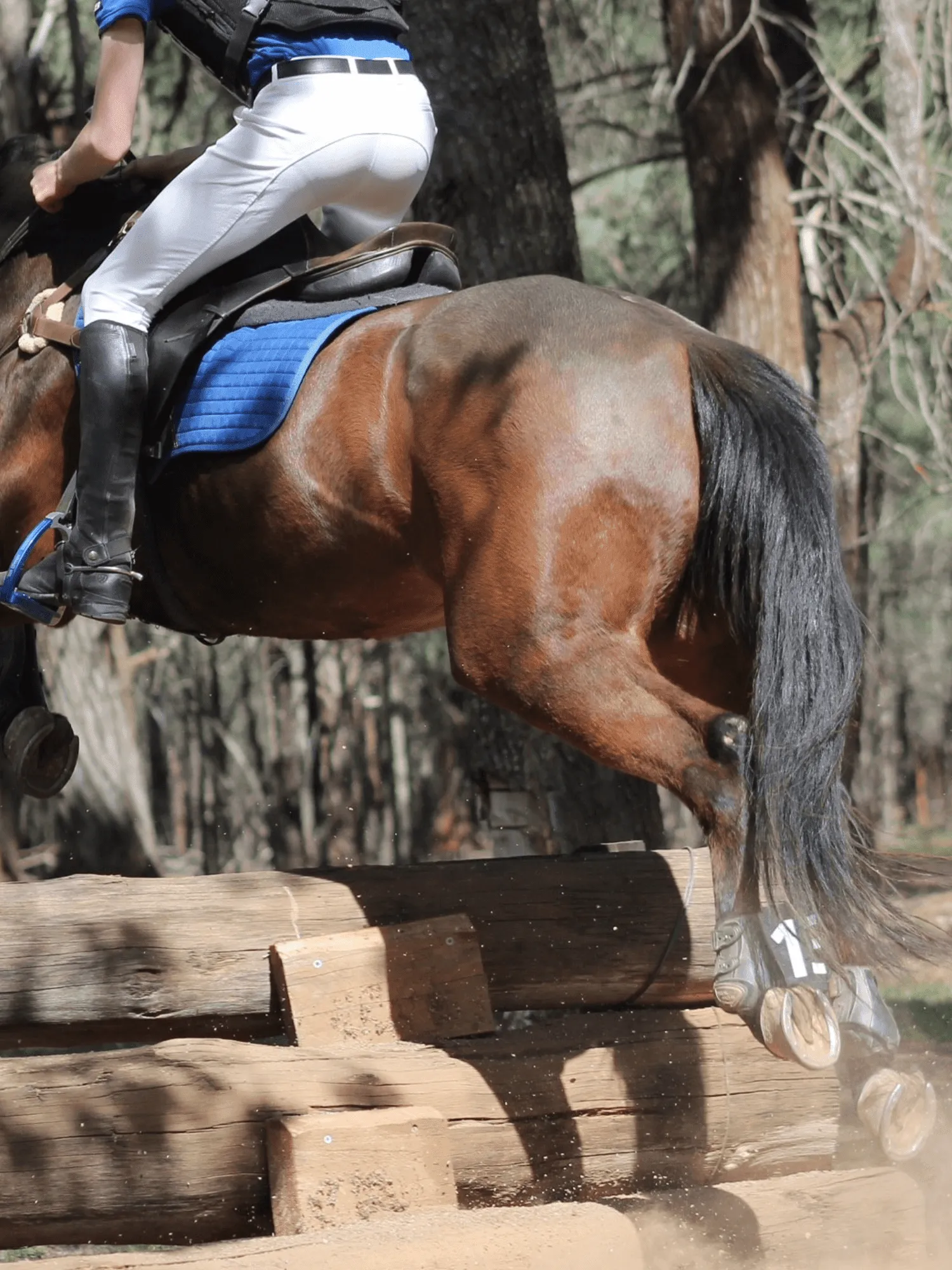 Junior Men's Breeches