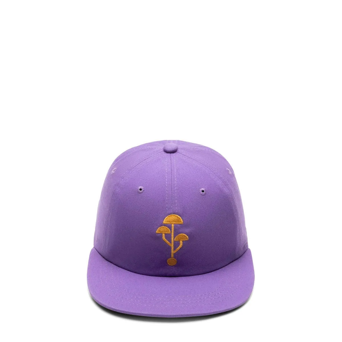 PLUG IN HAT PURPLE | Bodega