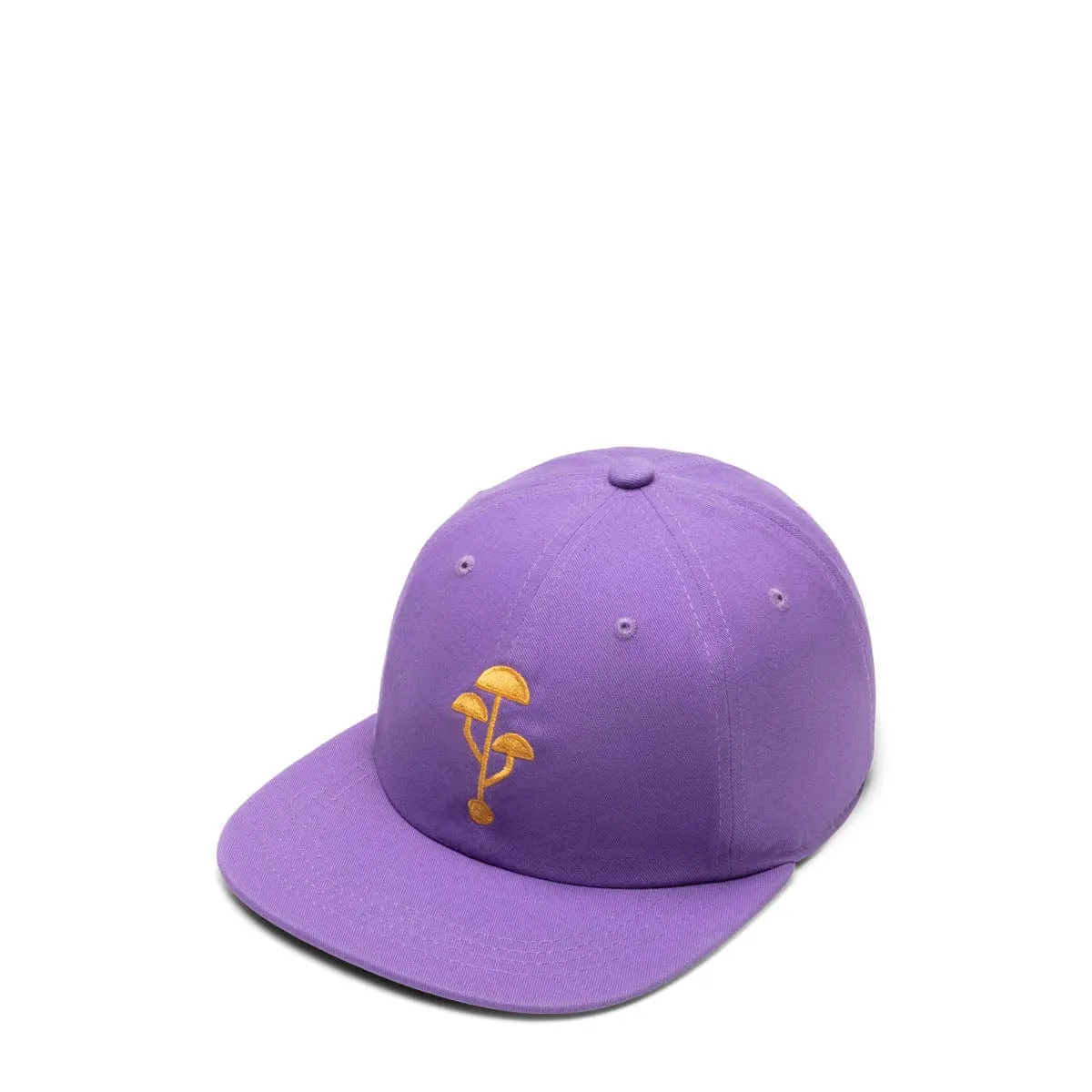 PLUG IN HAT PURPLE | Bodega