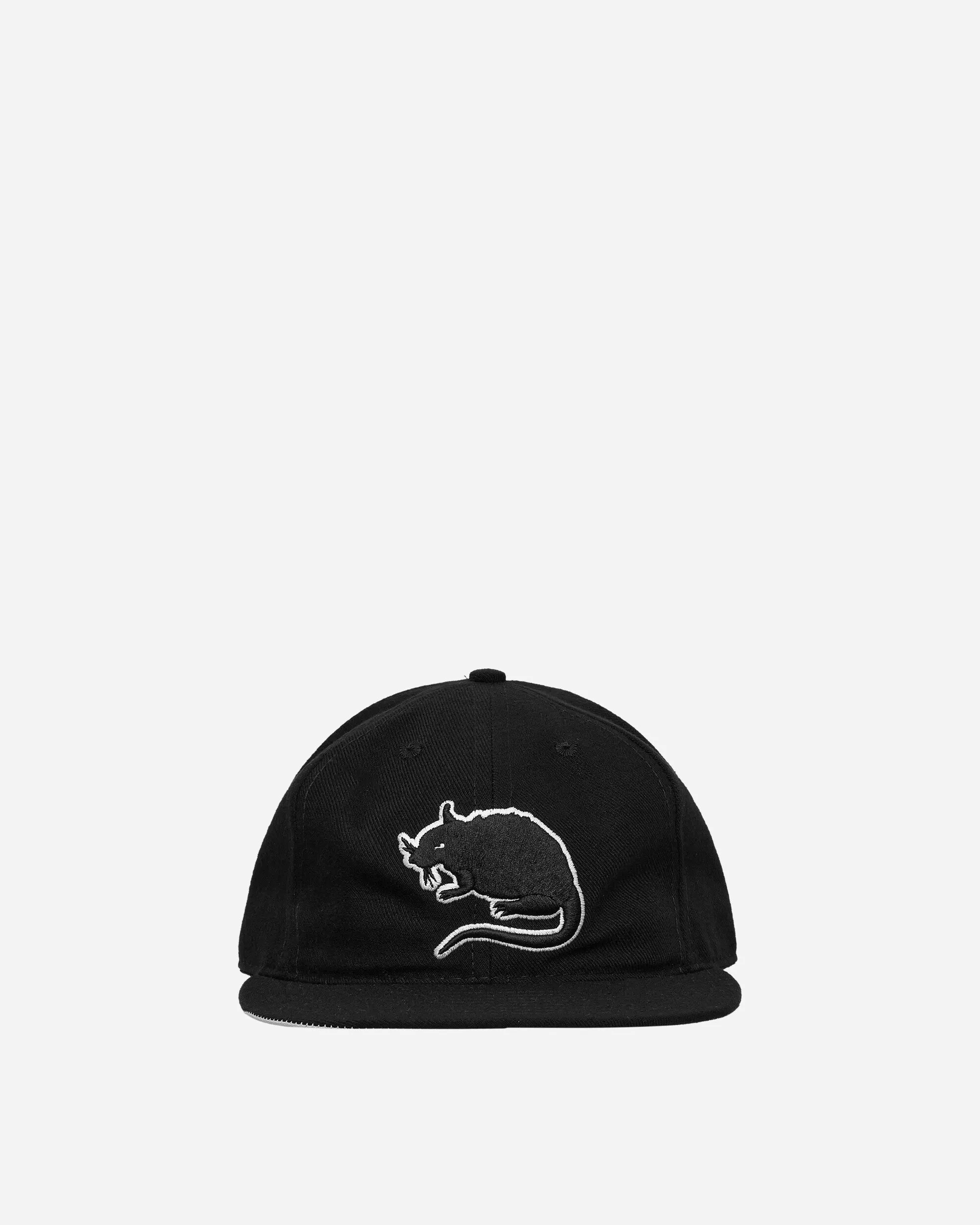 Rat Logo Fitted Hat Black