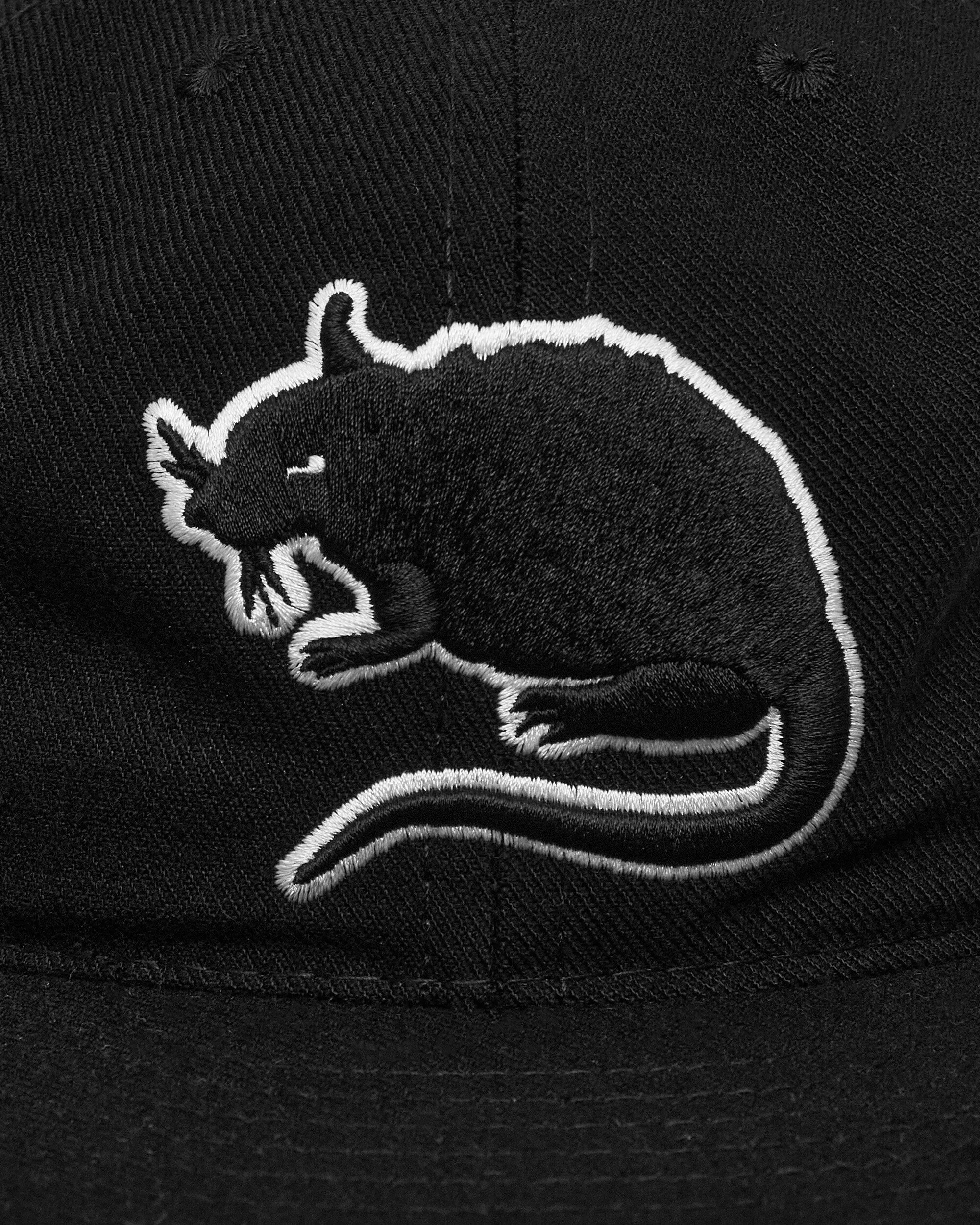 Rat Logo Fitted Hat Black